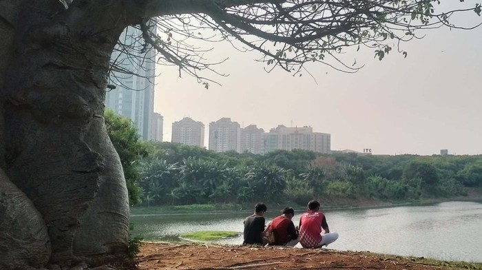Taman Kota Waduk Ria Rio adalah tempat favorit masyarakat sekitar untuk menikmati penghujung hari. Taman ini sejuk dengan pohon baobab yang besar.