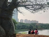 Taman Kota Waduk Ria Rio di Jakarta Timur Pas untuk Menyongsong Petang