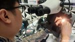 Pasar Batu Akik Rawa Bening Tetap Berkilau