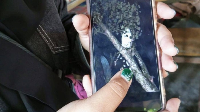 Penampakan pocong terpotret kamera ponsel di Situbondo.