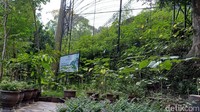 Foto: Pemkab Maros bersama Balai Taman Nasional Bantimurung Bulurusaraung sudah melakukan pertemuan pada Senin (15/7). Kedua belah pihak akan bekerja sama memperbaiki kawasan wisata yang dikenal sebagai The Kingdom of Butterfly. (Muhammad Subhan/detikSulsel)