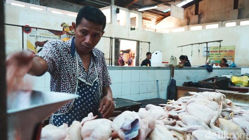 Penjualan daging ayam potong di Pasar Umum Galiran Klungkung mengalami kenaikan lantaran banyak hari raya Hindu, Selasa (16/7/2024). (Putu Krista/detikBali)