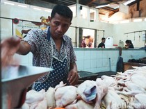 Harga Ayam Potong Turun Drastis, Minat Beli Turun Usai Lebaran