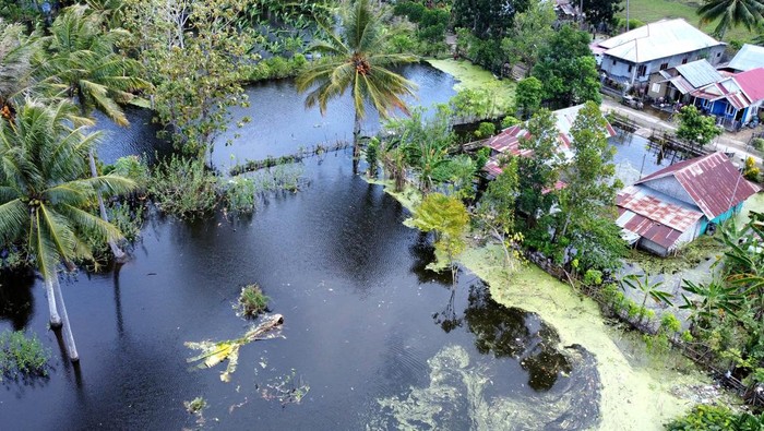 Foto udara lahan padi yang terendam banjir di Hunggaluwa, Kabupaten Gorontalo, Gorontalo, Selasa (16/7/2024). Data sementara Dinas Pertanian setempat mencatat 2.765 hektare lahan pertanian yang terdiri dari jagung, padi, cabai, ketimun, tomat dan terong terendam banjir akibat luapan Danau Limboto. ANTARA FOTO/Adiwinata Solihin/wpa.