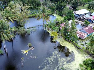2.765 Hektare Lahan Pertanian di Gorontalo Kebanjiran
