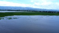 Foto udara lahan padi yang terendam banjir di Hunggaluwa, Kabupaten Gorontalo, Gorontalo, Selasa (16/7/2024).  
