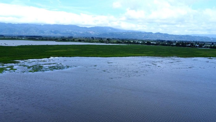 Foto udara lahan padi yang terendam banjir di Hunggaluwa, Kabupaten Gorontalo, Gorontalo, Selasa (16/7/2024). Data sementara Dinas Pertanian setempat mencatat 2.765 hektare lahan pertanian yang terdiri dari jagung, padi, cabai, ketimun, tomat dan terong terendam banjir akibat luapan Danau Limboto. ANTARA FOTO/Adiwinata Solihin/wpa.