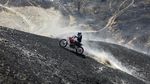 Potret Hutan di Krimea Gosong Usai Dilalap Api