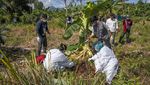 Potret Orangutan yang Ditemukan Mati Terjerat Benda Tajam