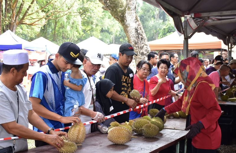 Promo AYCE Durian Rp 35 Ribu Dihentikan Usai 17 Ton Durian Ludes