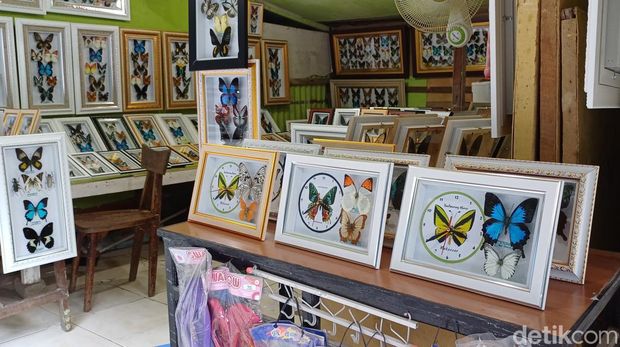 Taman Wisata Alam Bantimurung Maros.