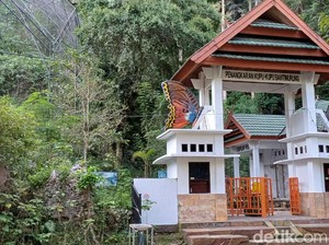 Balai TN Babul Bicara Populasi Kupu-kupu Usai Jokowi Kritik Penangkaran Maros