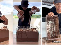 Bikin Konten Makan Selai Satu Akuarium, Influencer Ini Dihujat