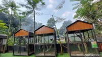 Area mini zoonya memiliki banyak hewan uik lho.  Di sini ada monyet albino, monyet tupai, domba Merino, Burung Makaw, Marmoset, Kura-kura Sulcata, Ikan Koi, Marmut, dan Cincila.