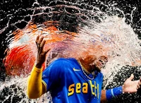 World Sport Photography Awards 2024