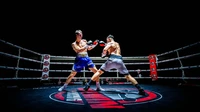 World Sport Photography Awards 2024