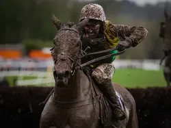 Jawara Kontes Foto Olahraga 2024 Bikin Takjub dan Tercengang