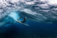 World Sport Photography Awards 2024
