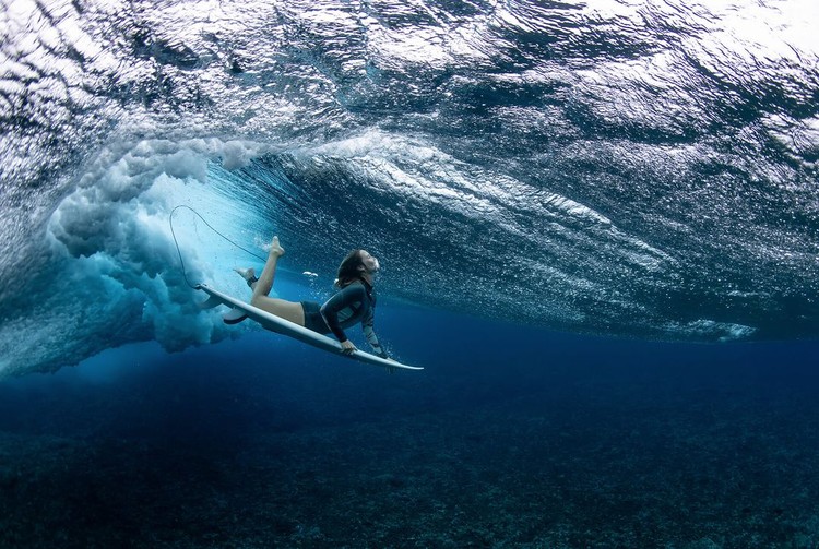 World Sport Photography Awards 2024