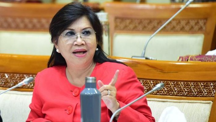 Anggota Komisi VI DPR dari PDIP, Evita Nursanty