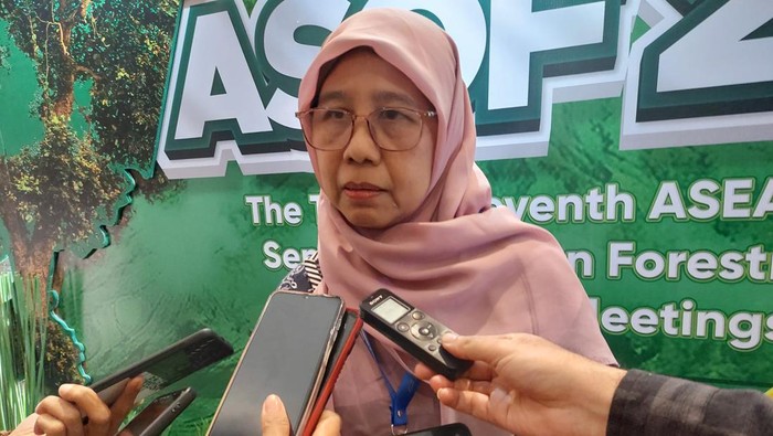 Direktur Rehabilitasi Perairan Darat dan Mangrove Kementerian Lingkungan Hidup dan Kehutanan (KLHK), Inge Retnowati,