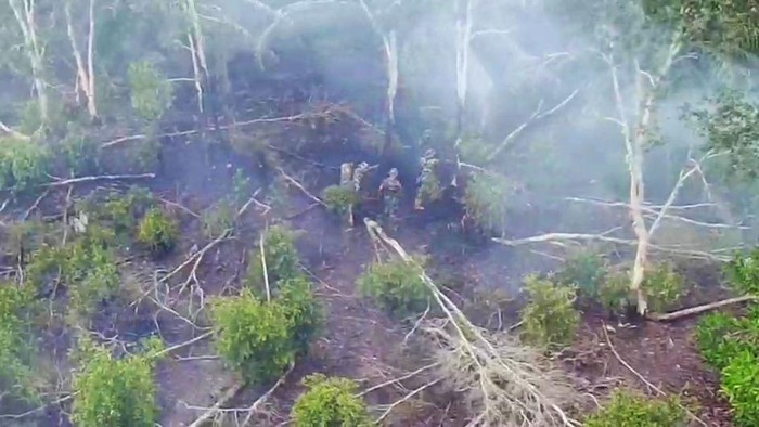 Lahan seluas 15 hektare terbakar di Ogan Ilir.