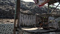 Tumpukan sampah menjulang setinggi gedung belasan lantai di Bantar Gebang Bekasi. Tak heran, banyak yang menyebut Tempat Pembuangan Sampah Terpadu (TPST) Bantargebang ini adalah gunung sampah yang berada di timur Jakarta.