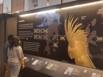 Keindahan Indonesia Timur dalam Mata Uang Dipamerkan Museum Bank Indonesia