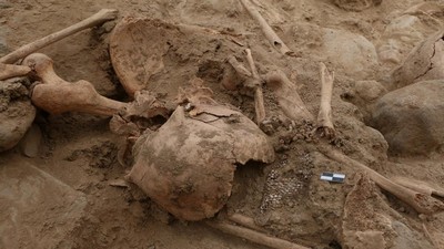 Penampakan Sisa-sisa Manusia Pra-Inca yang Digali di Situs Chan Chan Peru