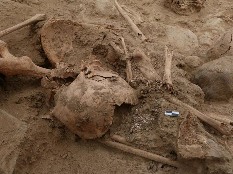 Penampakan Sisa-sisa Manusia Pra-Inca yang Digali di Situs Chan Chan Peru