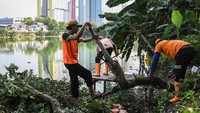Kegiatan ini dilakukan secara rutin oleh petugas UPS Tanjung Priok Jakarta Utara.