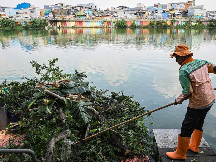 Penebangan Pohon Liar untuk Jaga Keindahan Waduk Sunter Selatan
