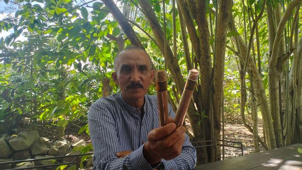 Produksi cerutu dari tembakau Gayo. (Agus Setyadi/detikSumut)