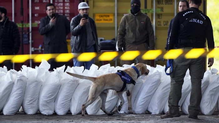 Agents from Paraguay’s anti-drug agency, Senad, guard sacks of cocaine at the Senad headquarters after the drugs were seized at the port of Caacupemi in Asuncion, Paraguay, Tuesday, July 16, 2024. Authorities announced the largest cocaine seizure in the country's history after officials found more than 4 tons of the drug stashed inside a shipment of sugar bound for Belgium. (AP Photo/Jorge Saenz)