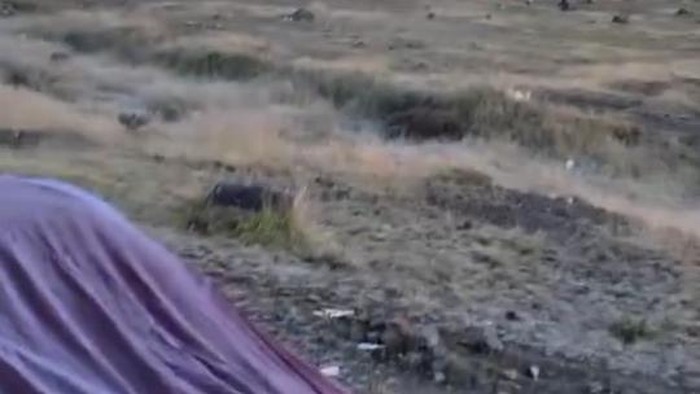 tenda pendaki dan rerumputan puncak gunung gede pangrango membeku