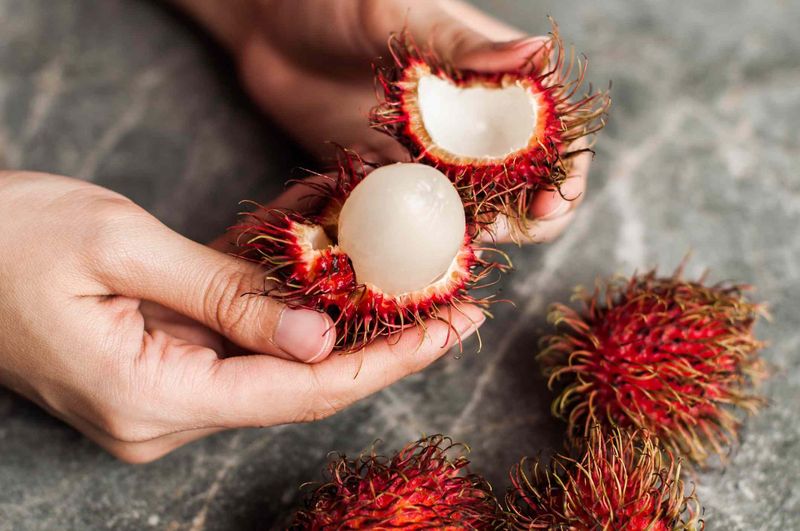 Tragis! Gegara Makan Rambutan, Nyawa Nenek Ini Melayang