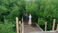 Jogging track dikelilingi rimbunnya pohon di Taman Mangrove Ketapang Tangerang.