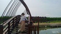 Ada sungai kecil dengan jembatan yang indah di Taman Mangrove Ketapang Tangerang.