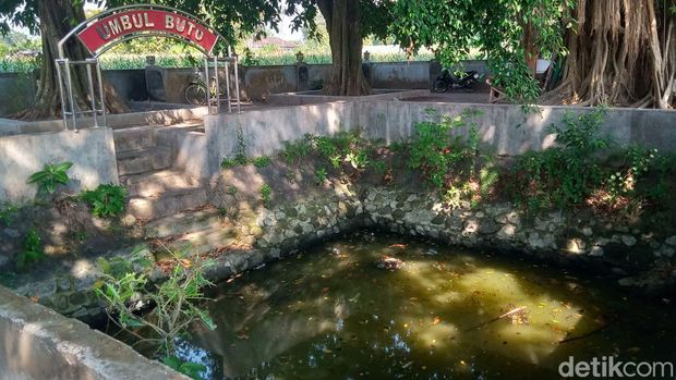 Umbul Buto di Desa Kedungan, Kecamatan Pedan, Klaten.