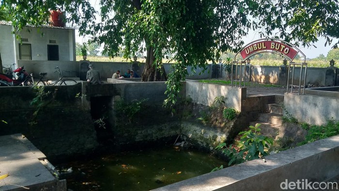 Umbul Buto di Desa Kedungan, Kecamatan Pedan, Klaten.