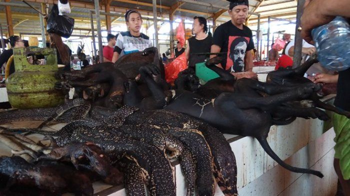 5 Makanan Ekstrem Populer di Manado, Patola hingga Paniki