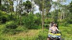 Membelah Hutan Taman Safari Prigen dengan ATV!