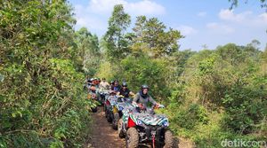 Membelah Hutan Taman Safari Prigen dengan ATV!