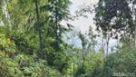 Membelah Hutan Taman Safari Prigen dengan ATV!