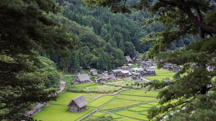 Desa Pegunungan Shirakawa, Jepang.