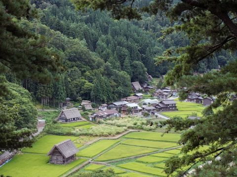 Desa Pegunungan Shirakawa, Jepang.