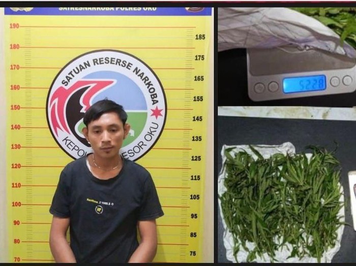 Mahasiswa di OKU Ditangkap Saat Bawa Ganja