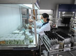Ilmuwan Temukan Sel Baru yang Berpotensi Sembuhkan Penyakit Kronis