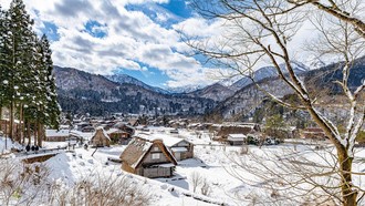 Jepang Diteror Beruang, Serangan Sampai ke Shirakawa-Go