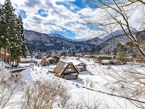 Jepang Diteror Beruang, Serangan Sampai ke Shirakawa-Go